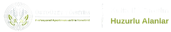 Üst Düzey Yönetim